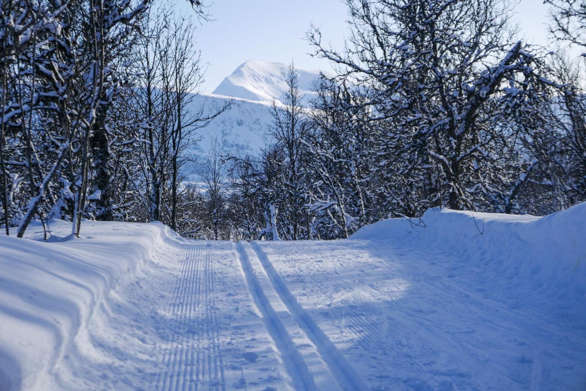 Arctic Retreat - Spacious Apartment Next To Amazing Nature Tromsø Eksteriør bilde