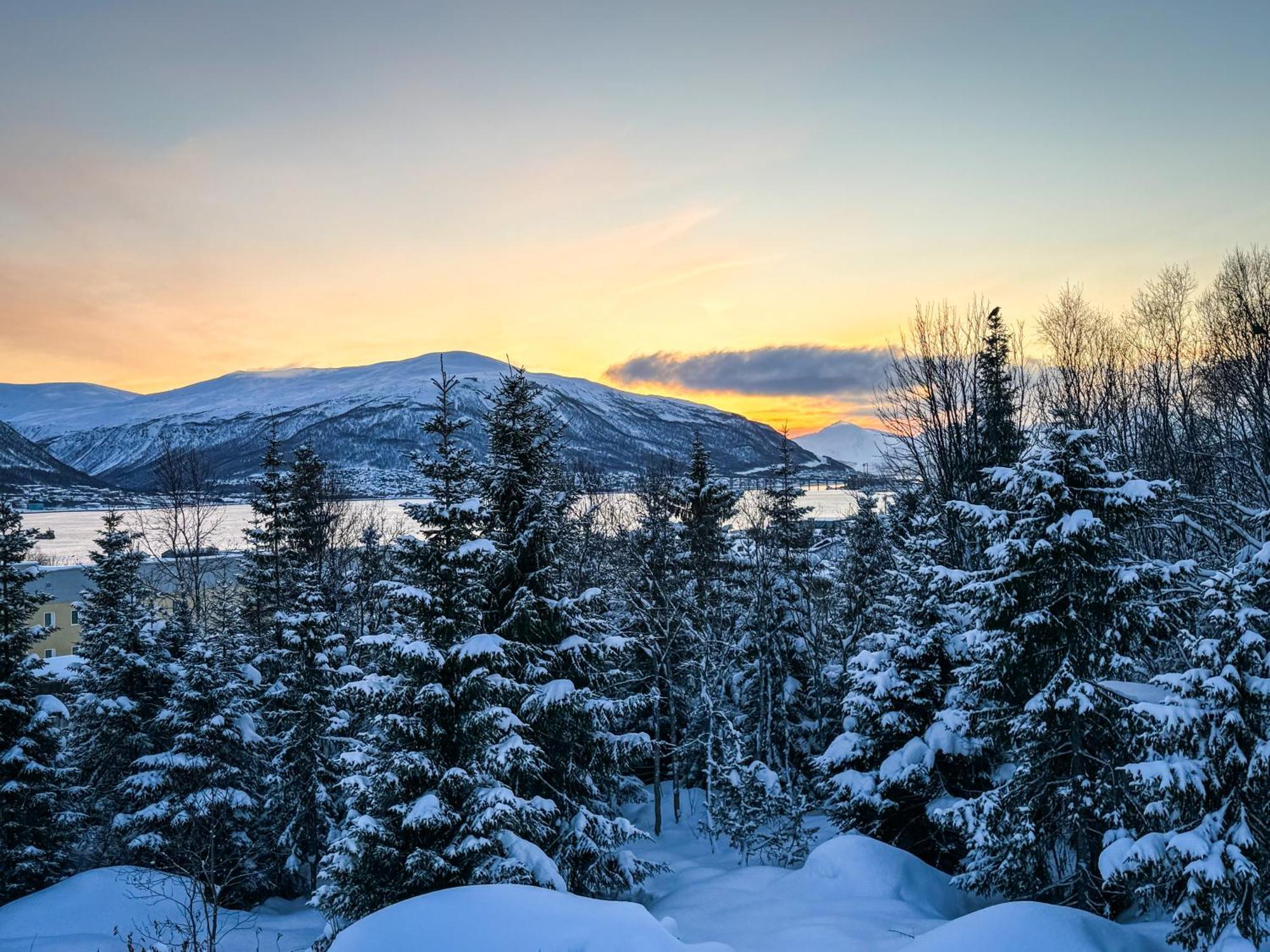 Arctic Retreat - Spacious Apartment Next To Amazing Nature Tromsø Eksteriør bilde